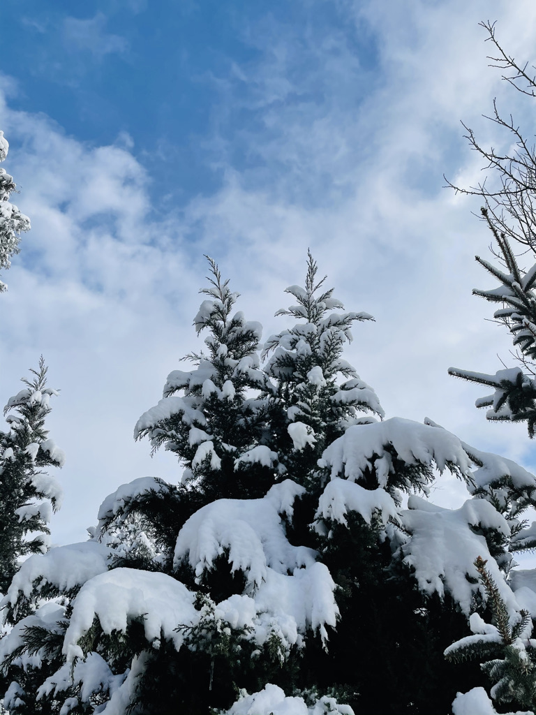 雪6